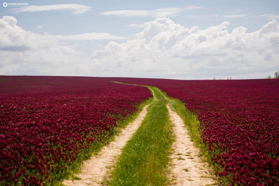 FOTO: Takáto krása musí byť pred Slovákmi ukrytá!