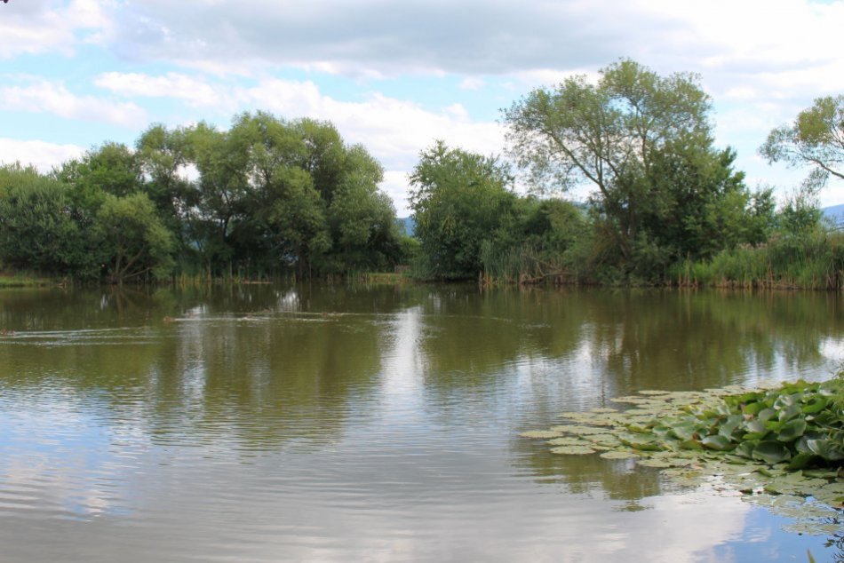 V OBRAZOCH: Jazierko Tiki-Taka pri Očovej je malou oázou pokoja