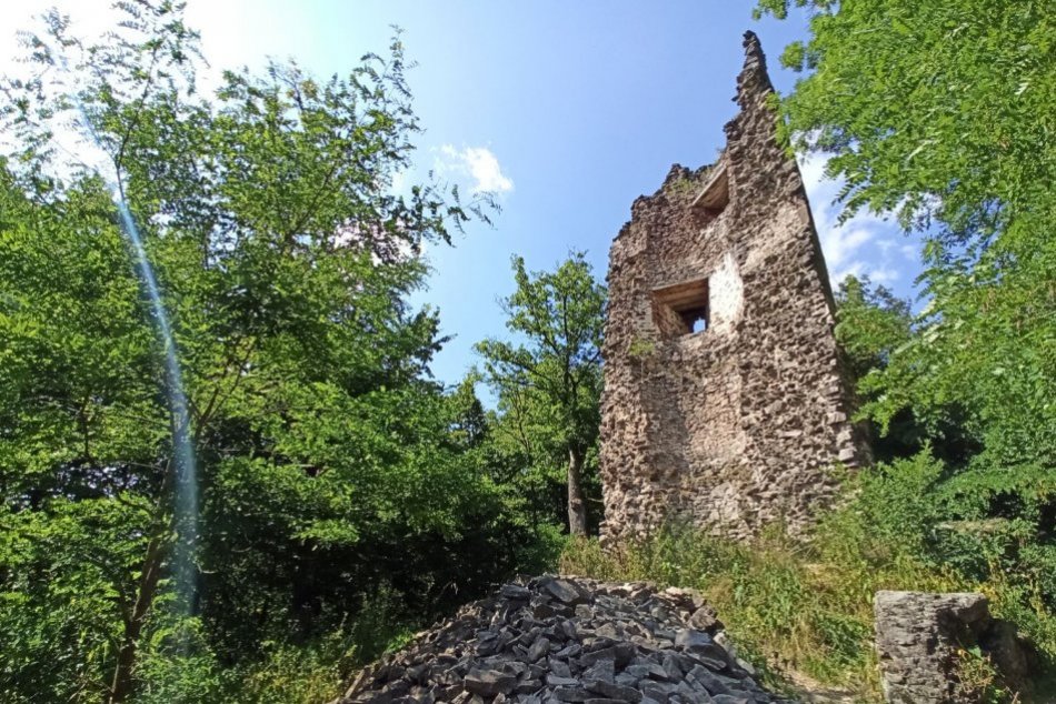 Stopy medveďa pri Turni, okres Zlaté Moravce