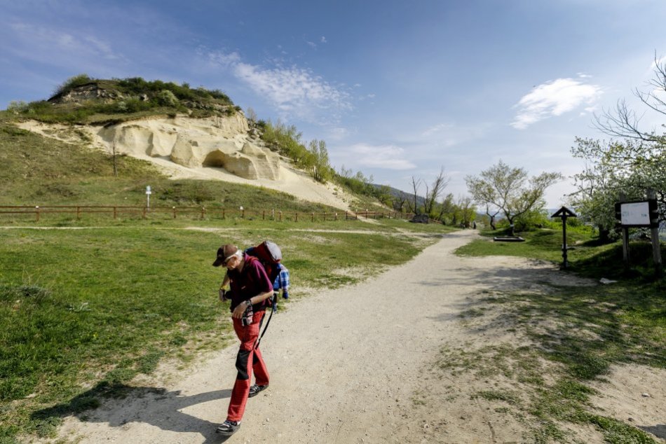 Paleontologická lokalita Sandberg