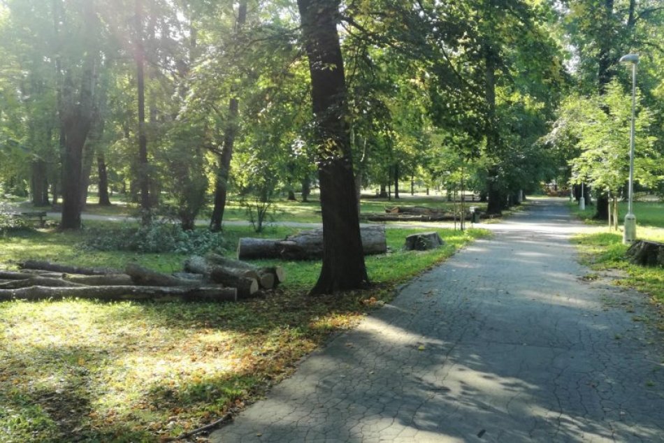 V OBRAZOCH: Mestský park po kalamite opäť otvorili