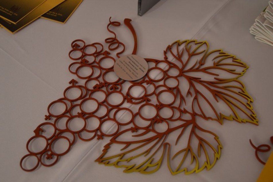 Vinári zo Šale a okolia si prezvali ocenenia