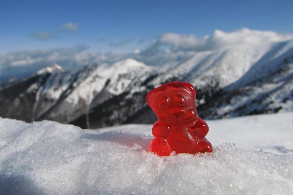 Martin a jeho parťáci na cestách