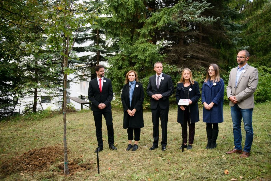 V OBRAZOCH: Prvá lipa začala za obete pandémie symbolicky dýchať v Bystrici