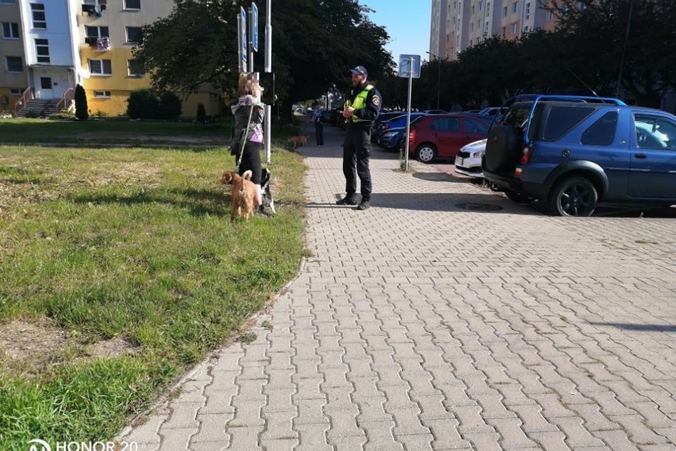 Kontroly dodržiavania povinností psíčkarov vo Zvolene