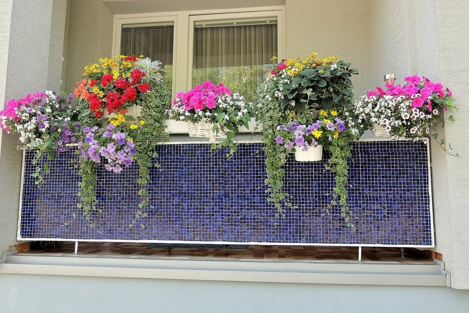 Objektívom: Najkrajšie predzáhradky a balkóny v Prešove