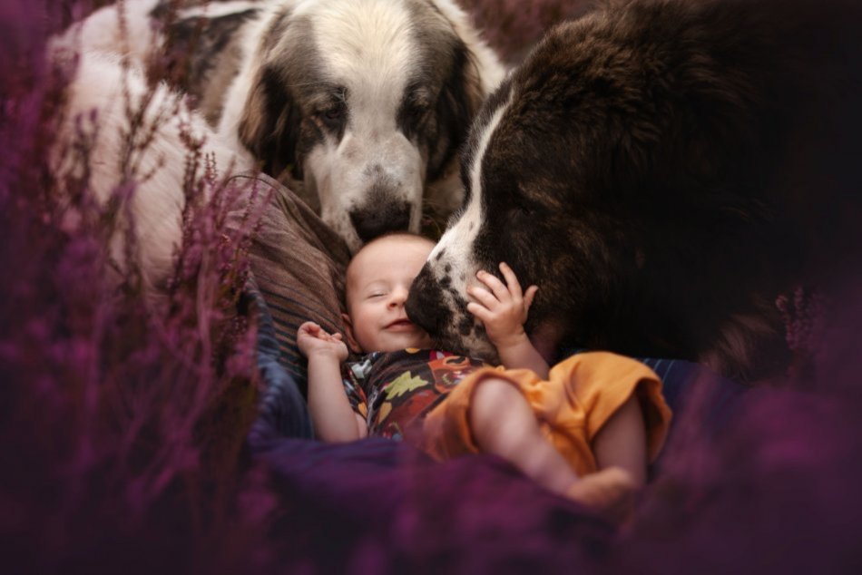 V OBRAZOCH: Veronika zachytáva psov na úchvatných záberoch