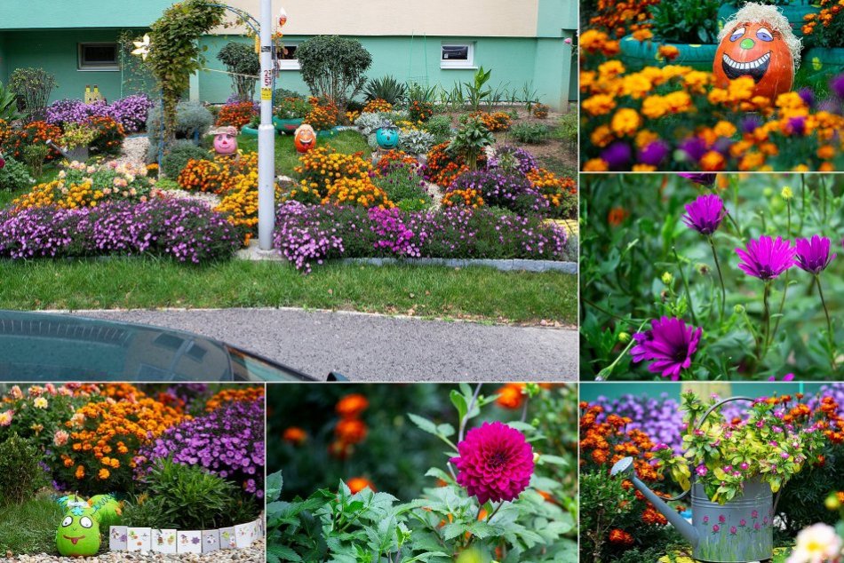 Najkrajšia predzáhradka 2021