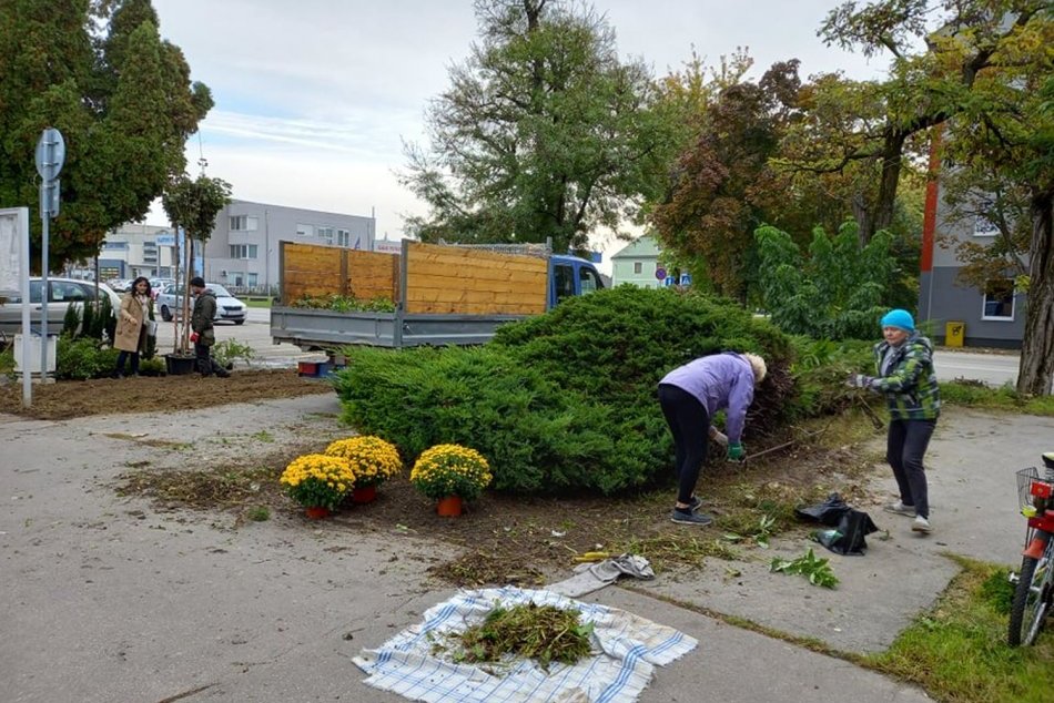 OBRAZOM: Nový záhon pred mestským cintorínom
