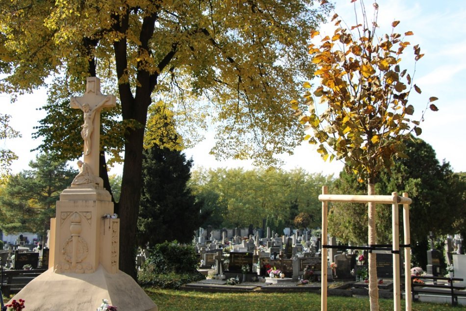 V Nových Zámkoch vysadili lipu za obete pandémie