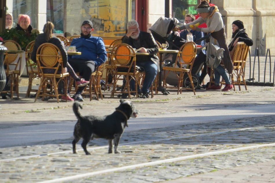 Košice možno už nikdy nezatvoria terasy a reštaurácie: Stačí len žolík