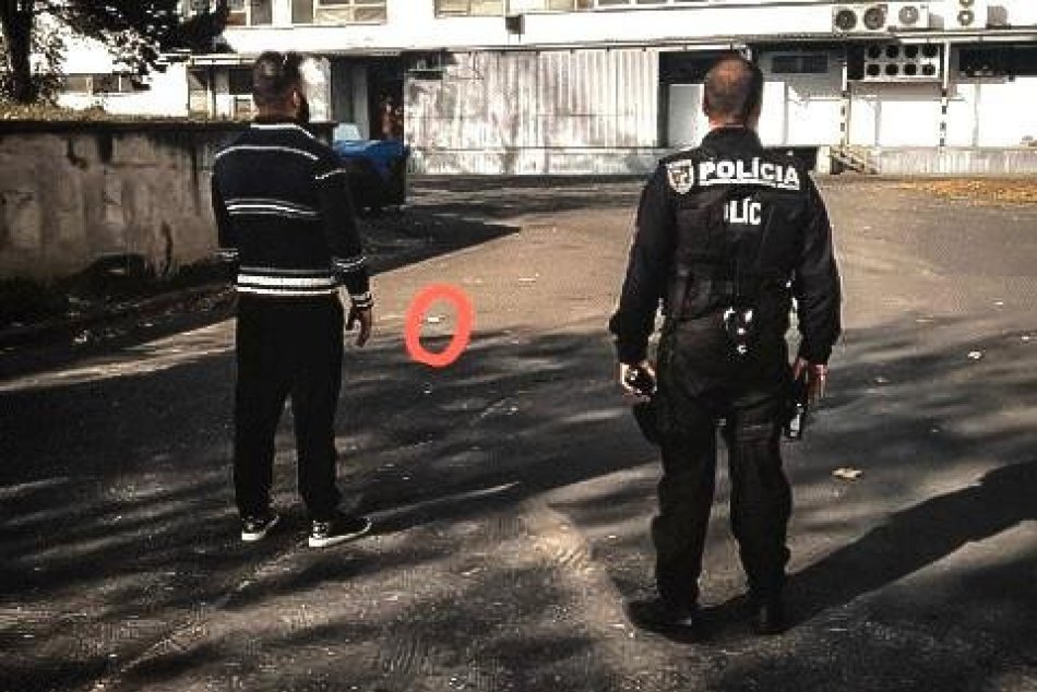 Vodič jazdil pod vplyvom drog: Pred políciou sa snažil vymeniť so spolujazdkyňou