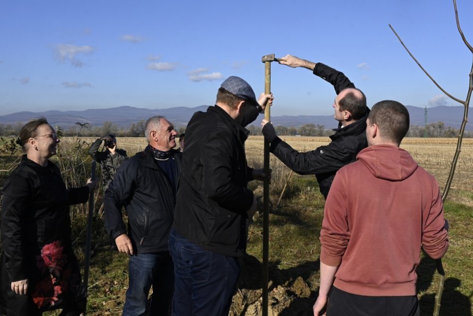 OBRAZOM: Novovznikajúca ovocná aleja v Trenčianskych Stankovciach
