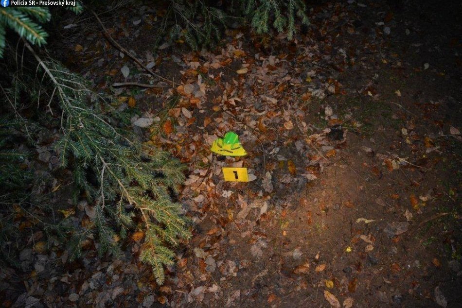 OBRAZOM: Motorkár sa zachytil o ostatný drôt natiahnutý cez lesnú cestičku