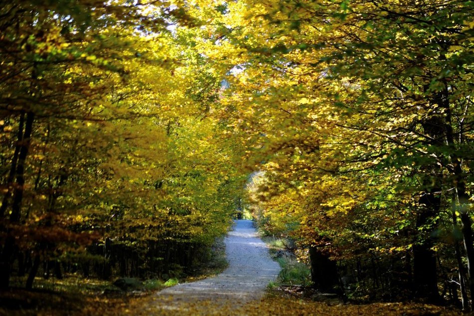 Turistická trasa od Sparísk nad Peknou cestou po Biely kríž