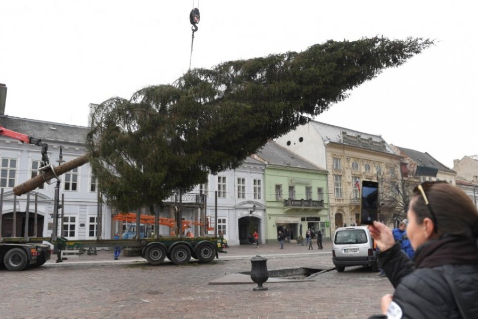 Osádzanie vianočného stromčeka na Hlavnej