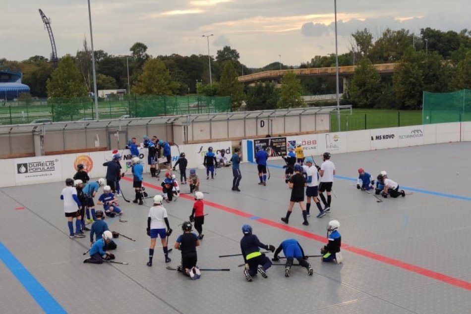 Nitrianska hokejbalová organizácia