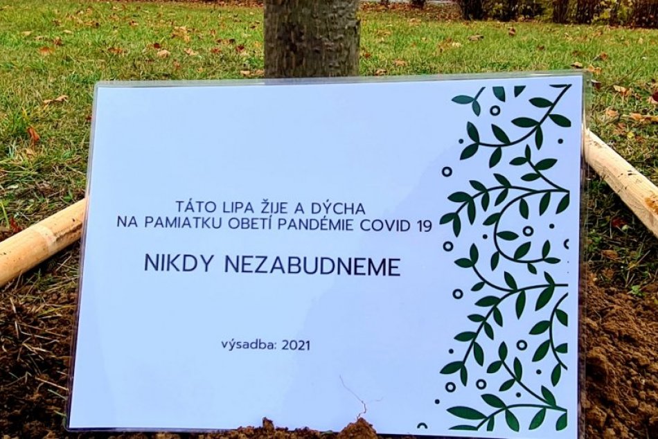 V Topoľčanoch zasadili spomienkovú lipu