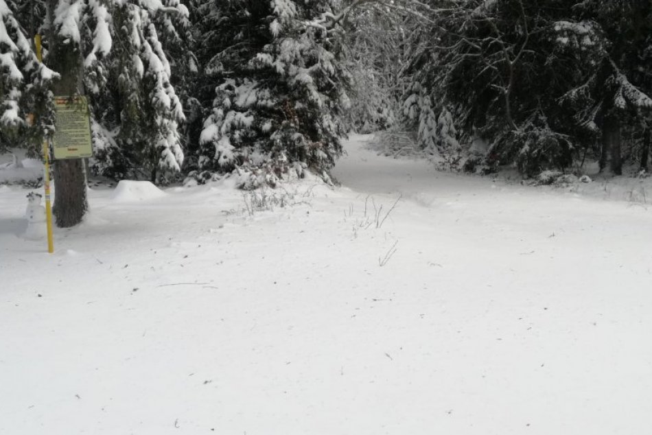 V OBRAZOCH: Prvé bežkárske trate v okolí čaká úprava