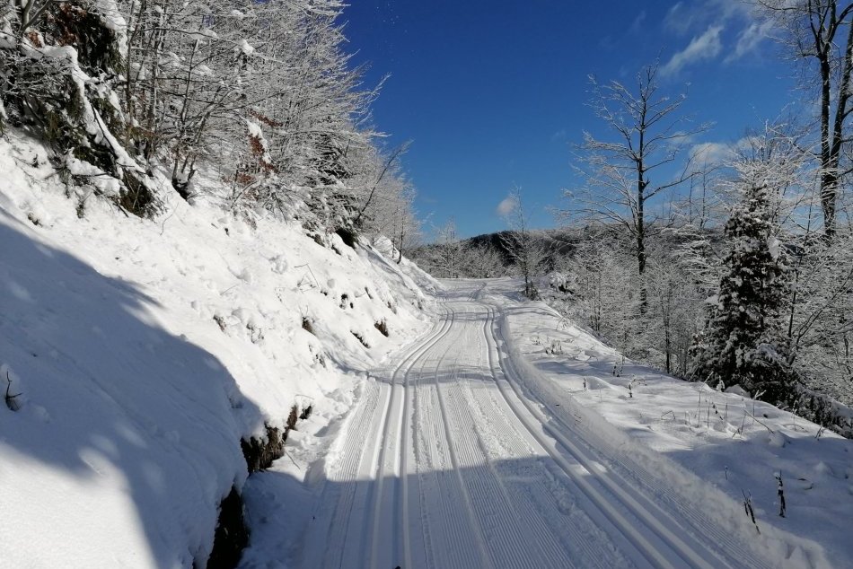 V OBRAZOCH: Bežkárska trasa z Malého Šturca je upravená