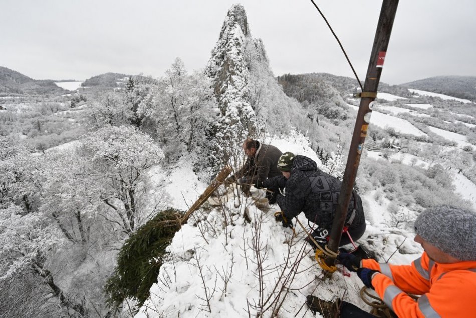 FOTO: Vianočný stromček s farebným osvetlením na hrade Lednica