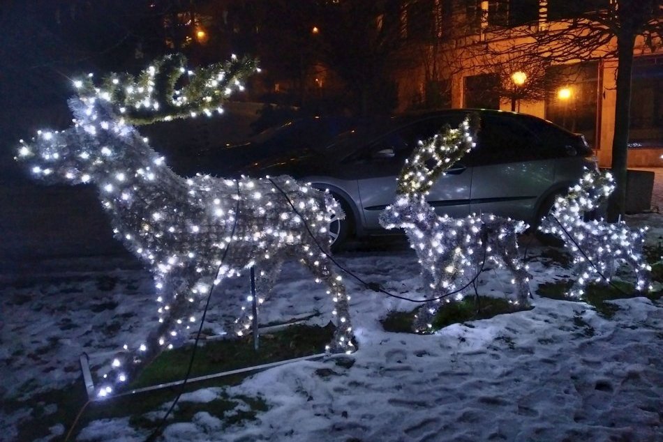 V OBRAZOCH: V Bystrici žiari úchvatný zástup sobov, medveďov či tučniakov