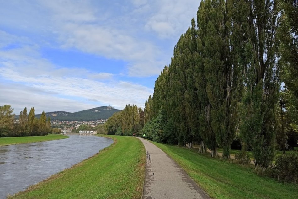 Topole lemujúce rieku Nitra