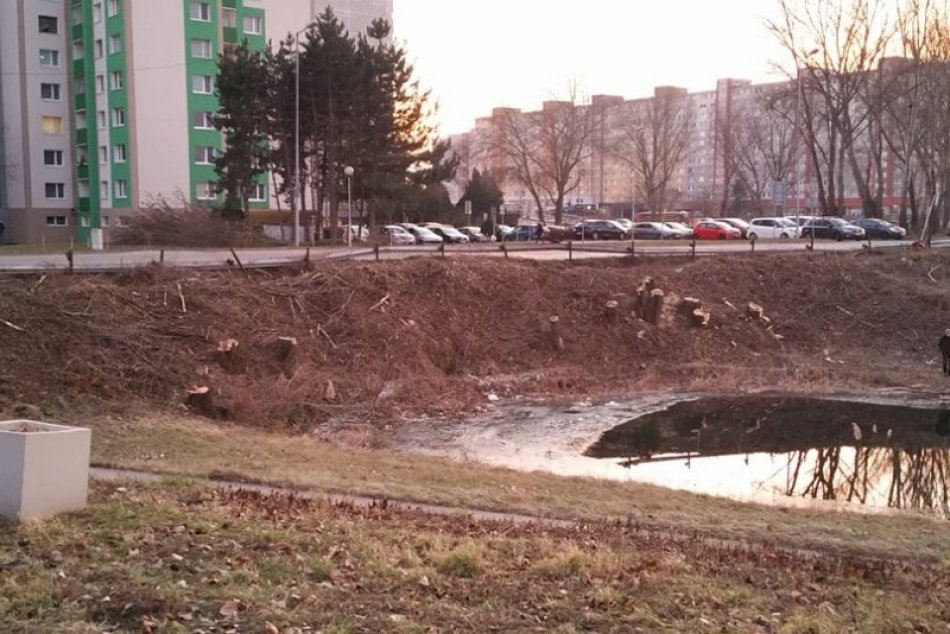 Vyrúbané stromy v okolí Technopolu - výstavba električkovej trate Petržalka