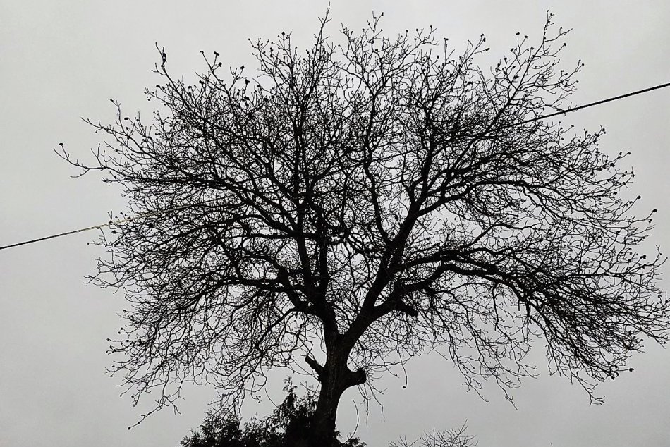 Objektívom: Divoké počasie na prešovskom Solivare príliš nedorazilo