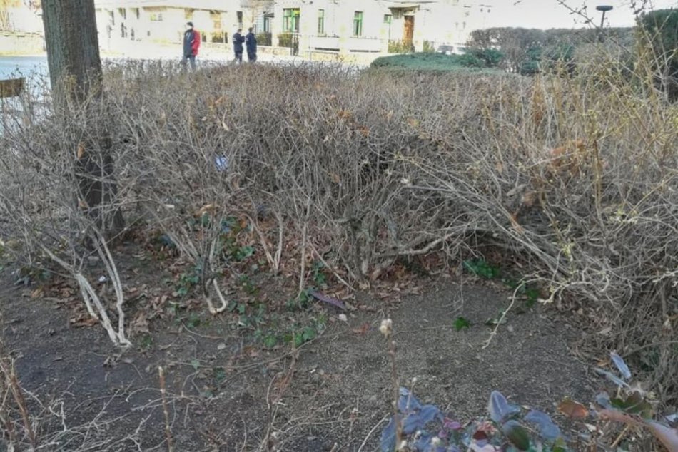 Mesto vynoví priestor pred gymnáziom