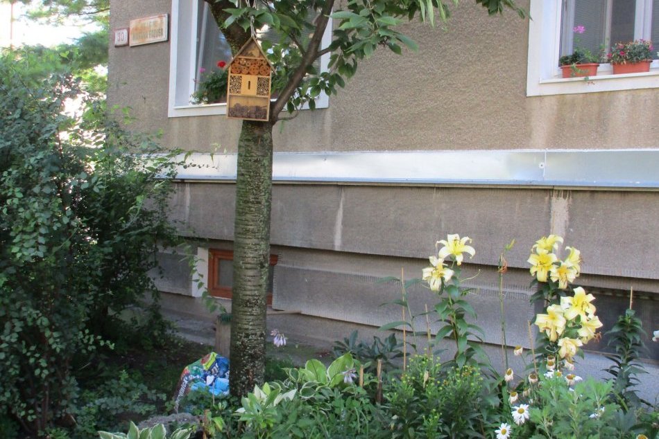 V OBRAZOCH: Zeleň v Banskej Bystrici
