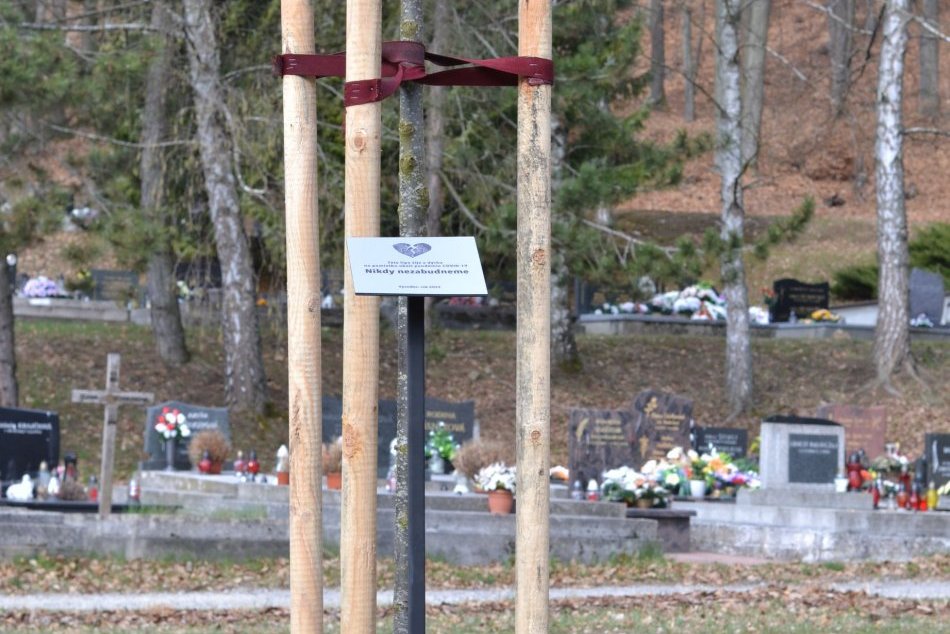 V Banskej Bystrici dýcha výnimočná lipa za obete pandémie