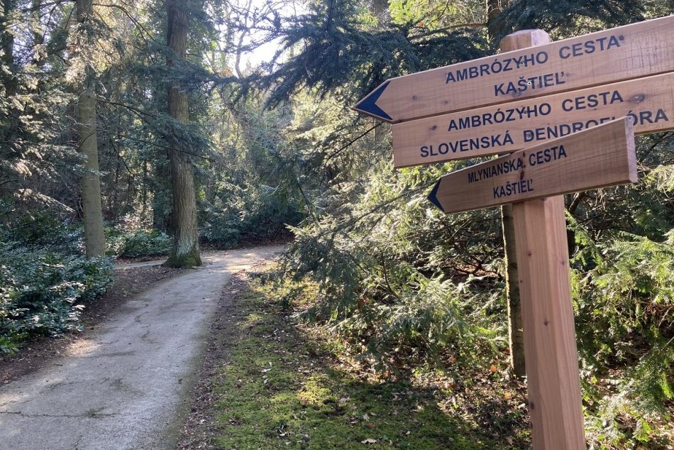 Arborétum v Mlyňanoch