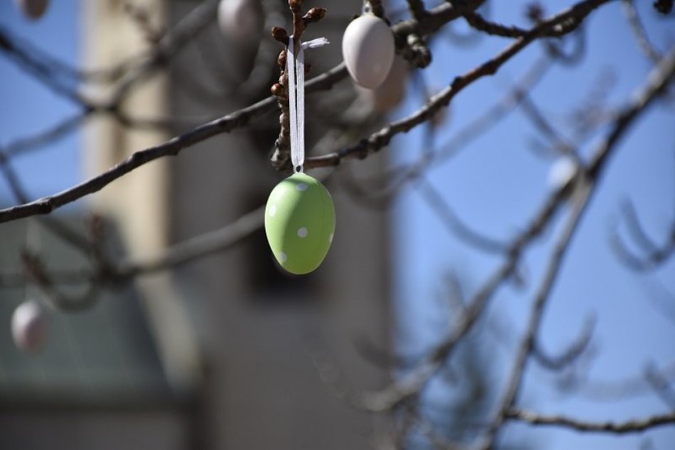 Kraslice navešané na strome na Námestí osloboditeľov v Liptovskom Mikuláši
