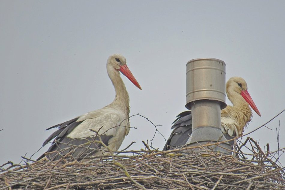 Objektívom: Boli sme na návšteve v obci Lemešany