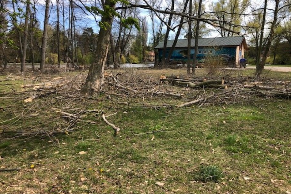 Revitalizácia v Novom parku v Nitre