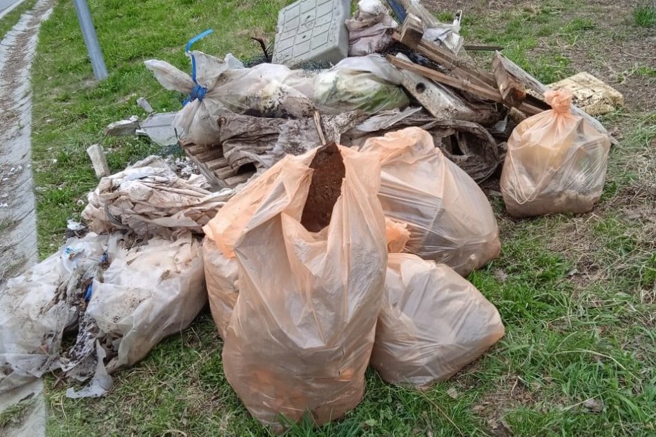 V OBRAZOCH: Na Deň Zeme sa v Bystrici upratovalo