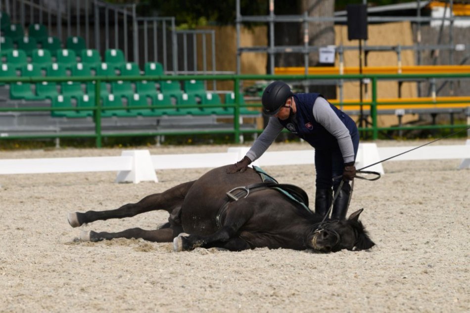 OBRAZOM: Deň otvorených dverí sa v Národnom žrebčíne