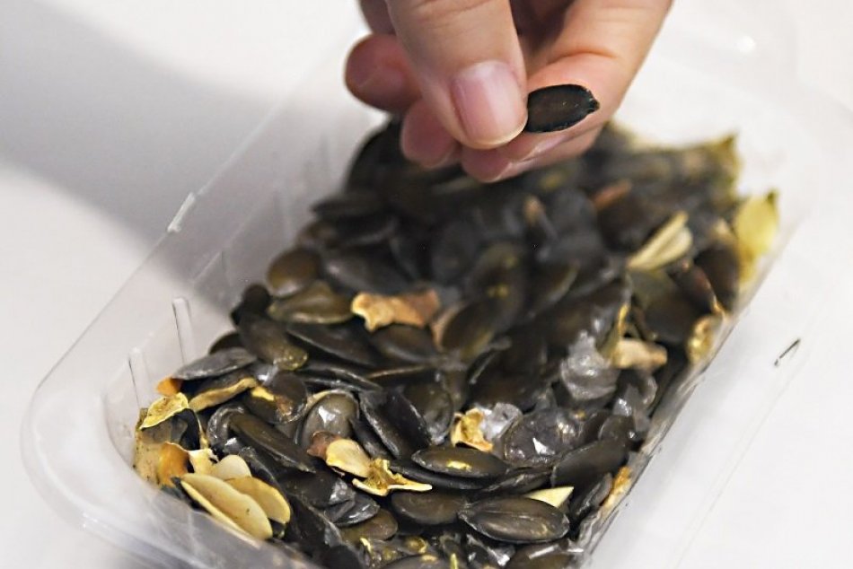 Slávnostné otvorenie továrne na lisovanie tekvicového oleja v Buzici