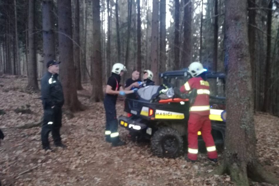 V OBRAZOCH: Turistov pri Hriňovej napadla medvedica