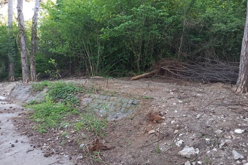 Revitalizácia Boriny