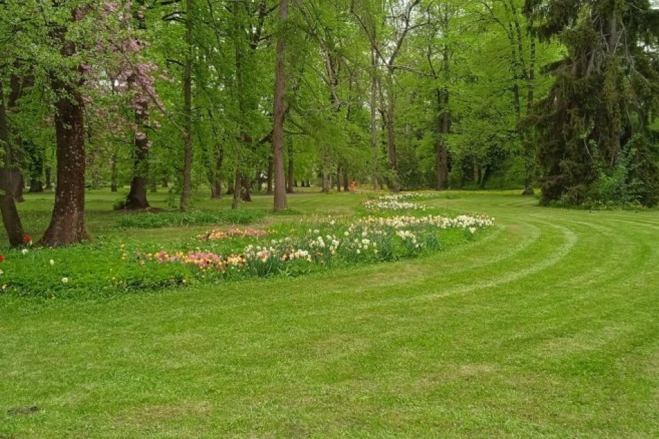 V OBRAZOCH:  Mozaikovité kosenie v Bystrici