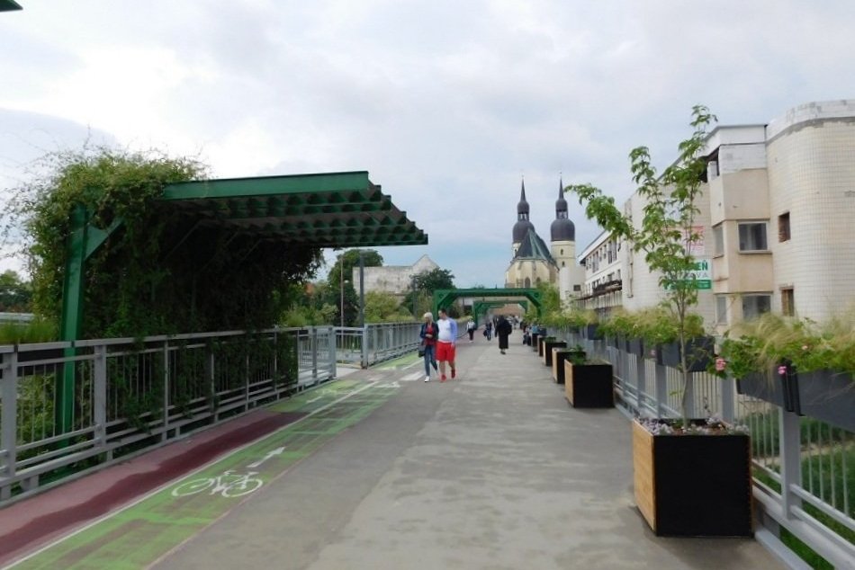 FOTO: Ľudský strom od Jankoviča