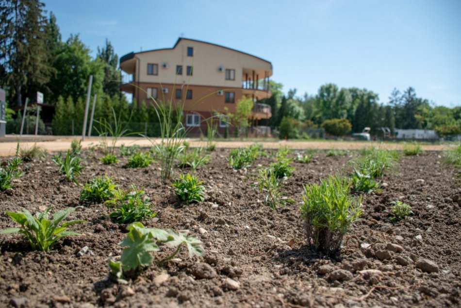 Práce na kúpalisku v Nitre