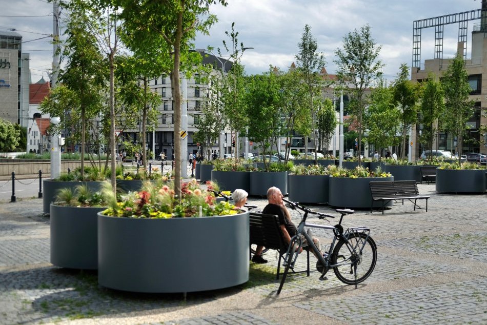 Zeleň na Hodžovom námestí