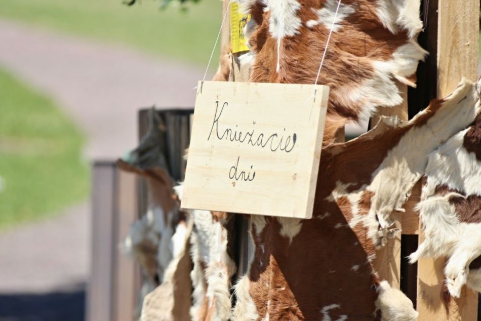 OBRAZOM: Kniežacie dni na Nitrianskom hrade