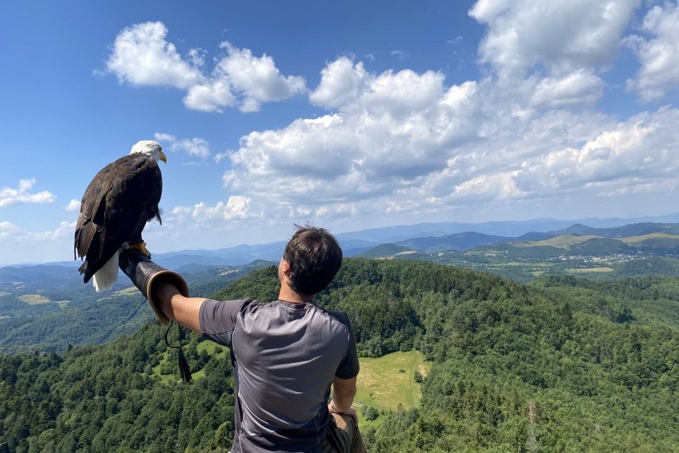 V OBRAZOCH: Orliak Nixon natáča úchvatné zábery z výšky