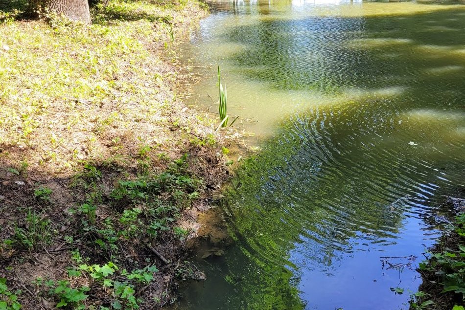 Obnovené jazierka v obci Nová Ves nad Žitavou