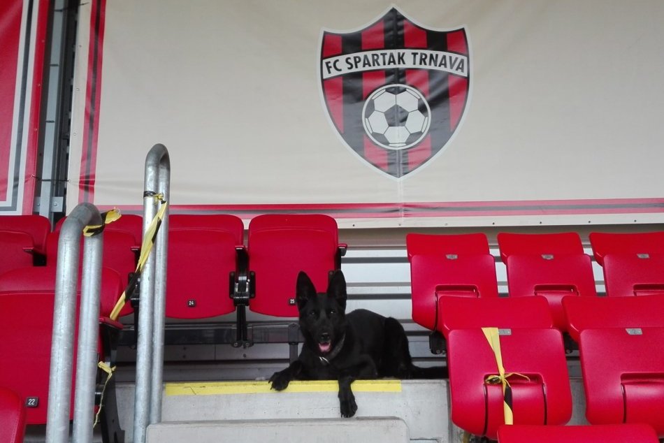 Trnavská polícia sa lúči s Betkou