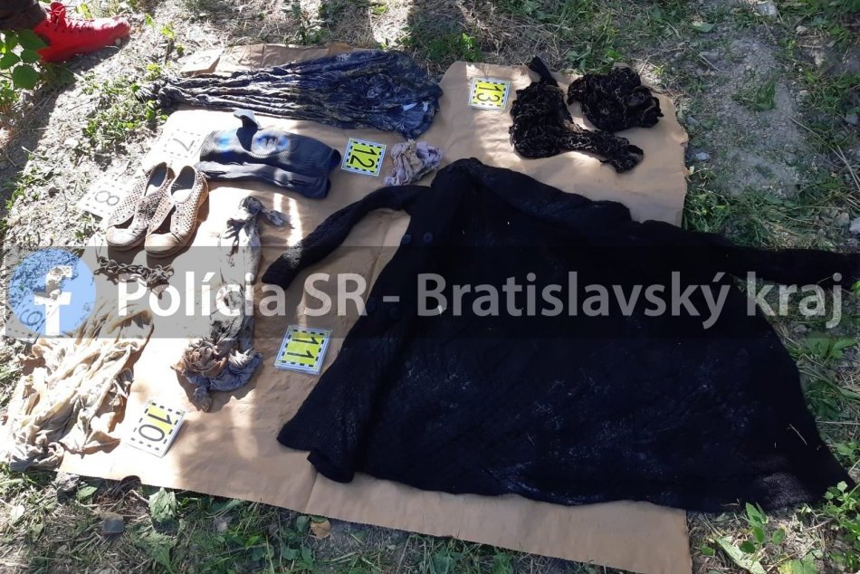 Vražda a streľba na Alibernetovej